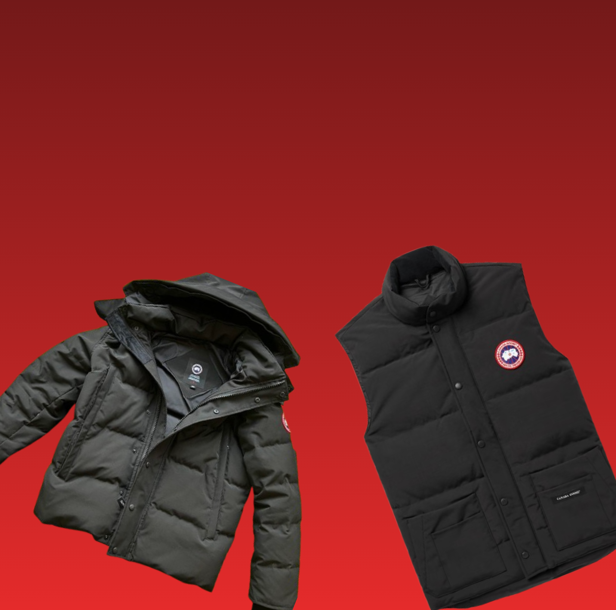 Canada Goose Supplier/Vendor